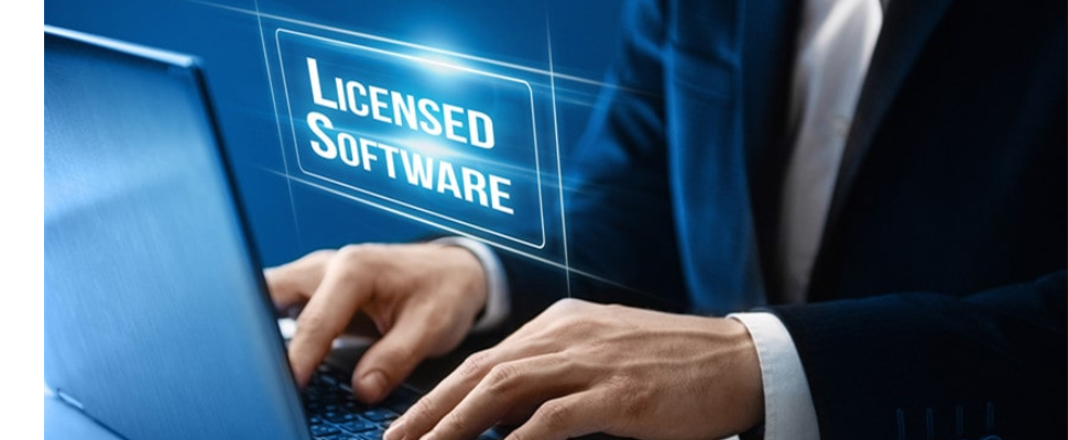 software-licensing-services